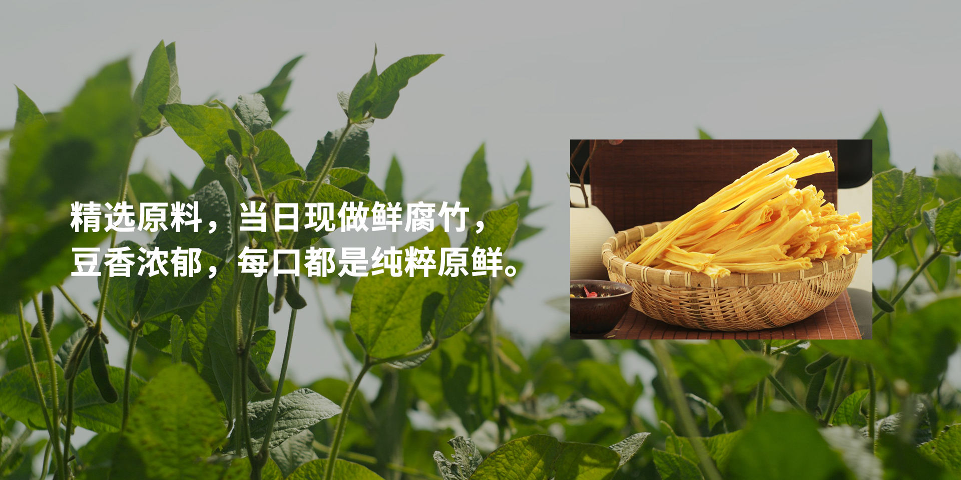 通栏图片